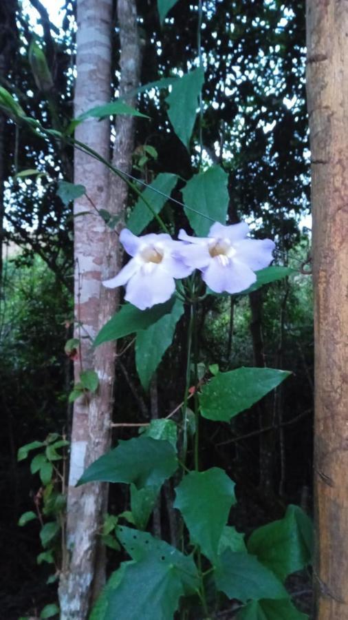 Casa De Campo Banheira, Lareira E Cachoeira Pedra Azul  Luaran gambar