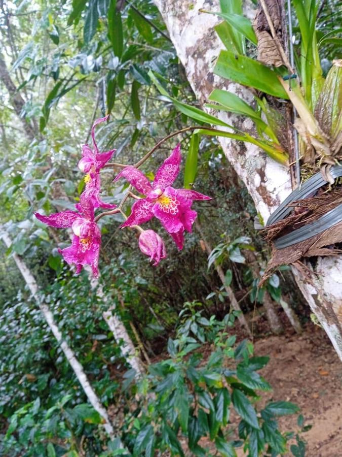 Casa De Campo Banheira, Lareira E Cachoeira Pedra Azul  Luaran gambar