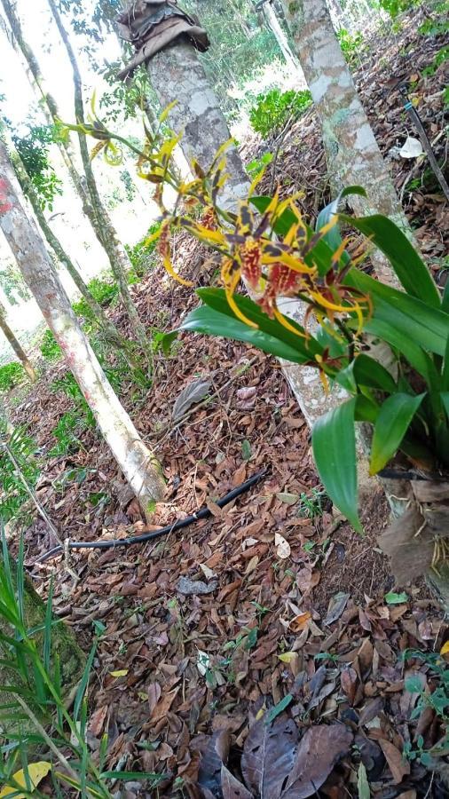 Casa De Campo Banheira, Lareira E Cachoeira Pedra Azul  Luaran gambar